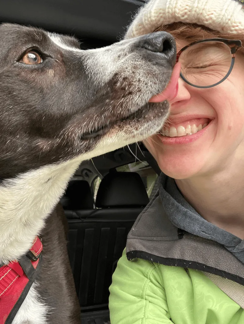 A smiling woman being licked by a dog. He is a good boy.